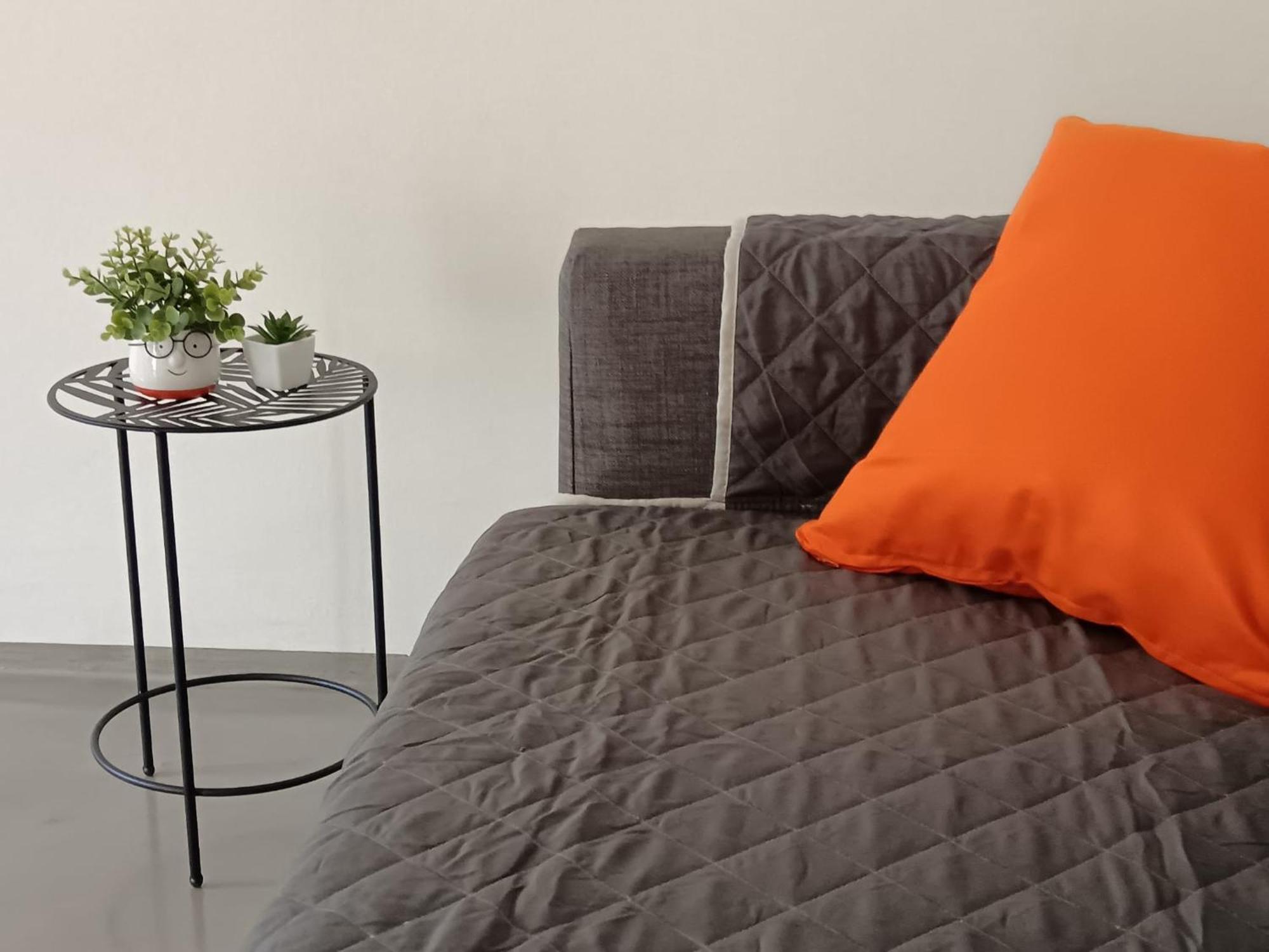 Pop House - Design & Comfort