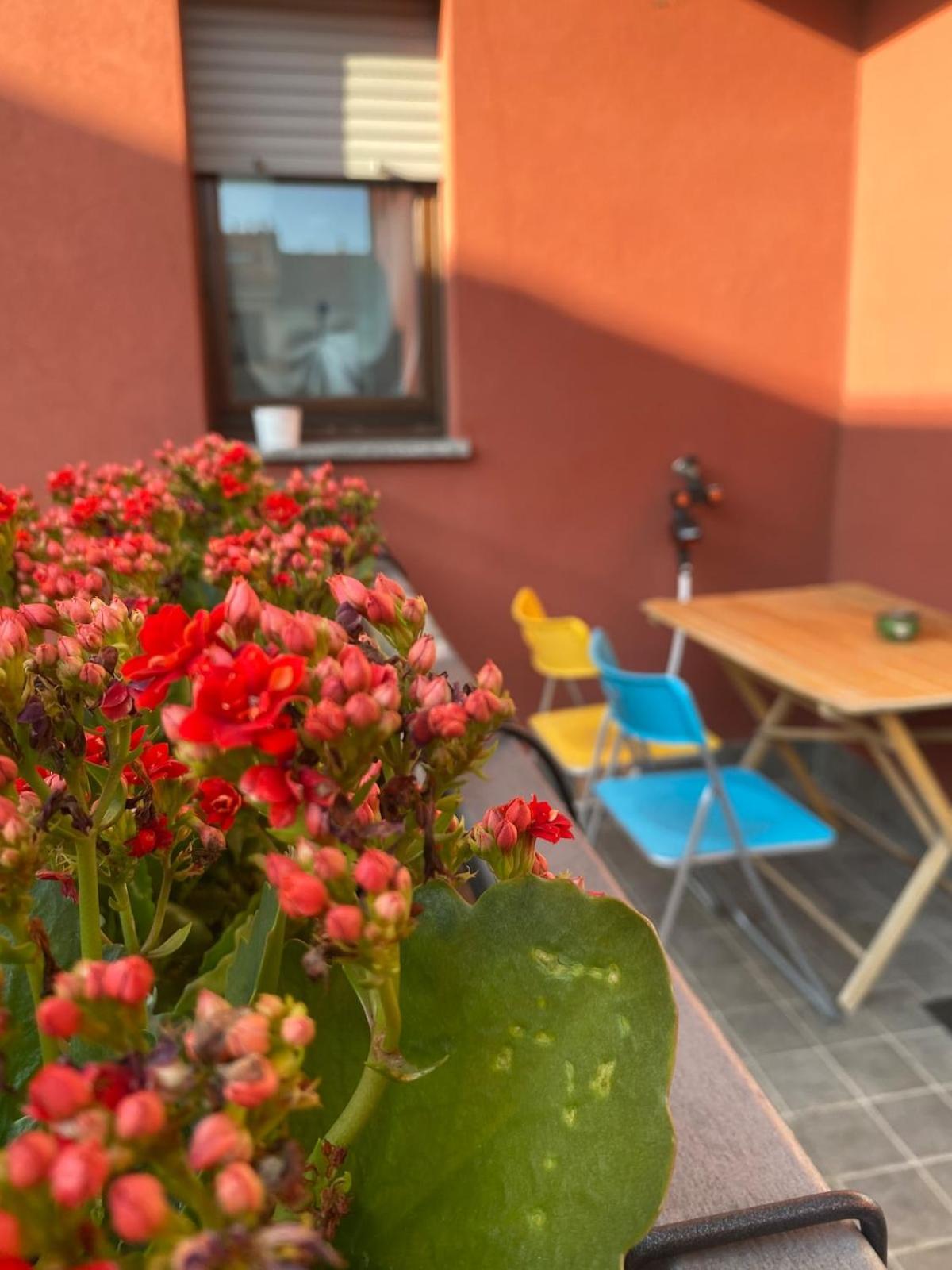 Luce Place Authentic Getaway Appartamento Milano