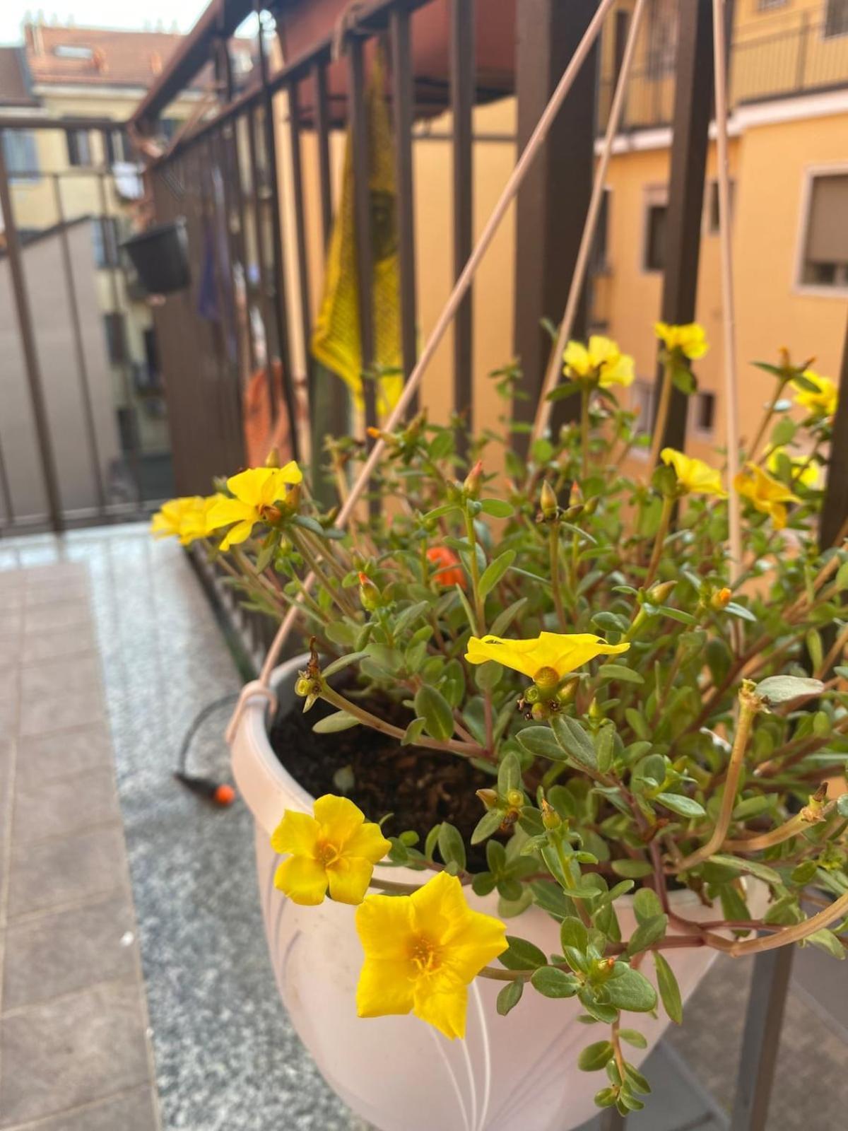 Luce Place Authentic Getaway Appartamento *