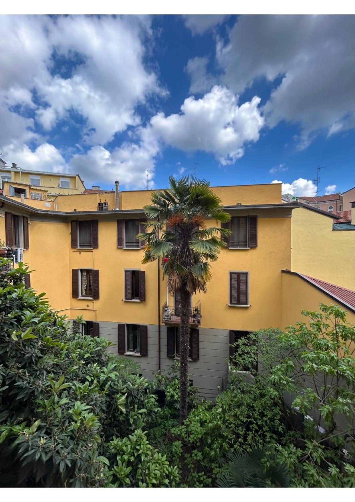 Nolo Milano