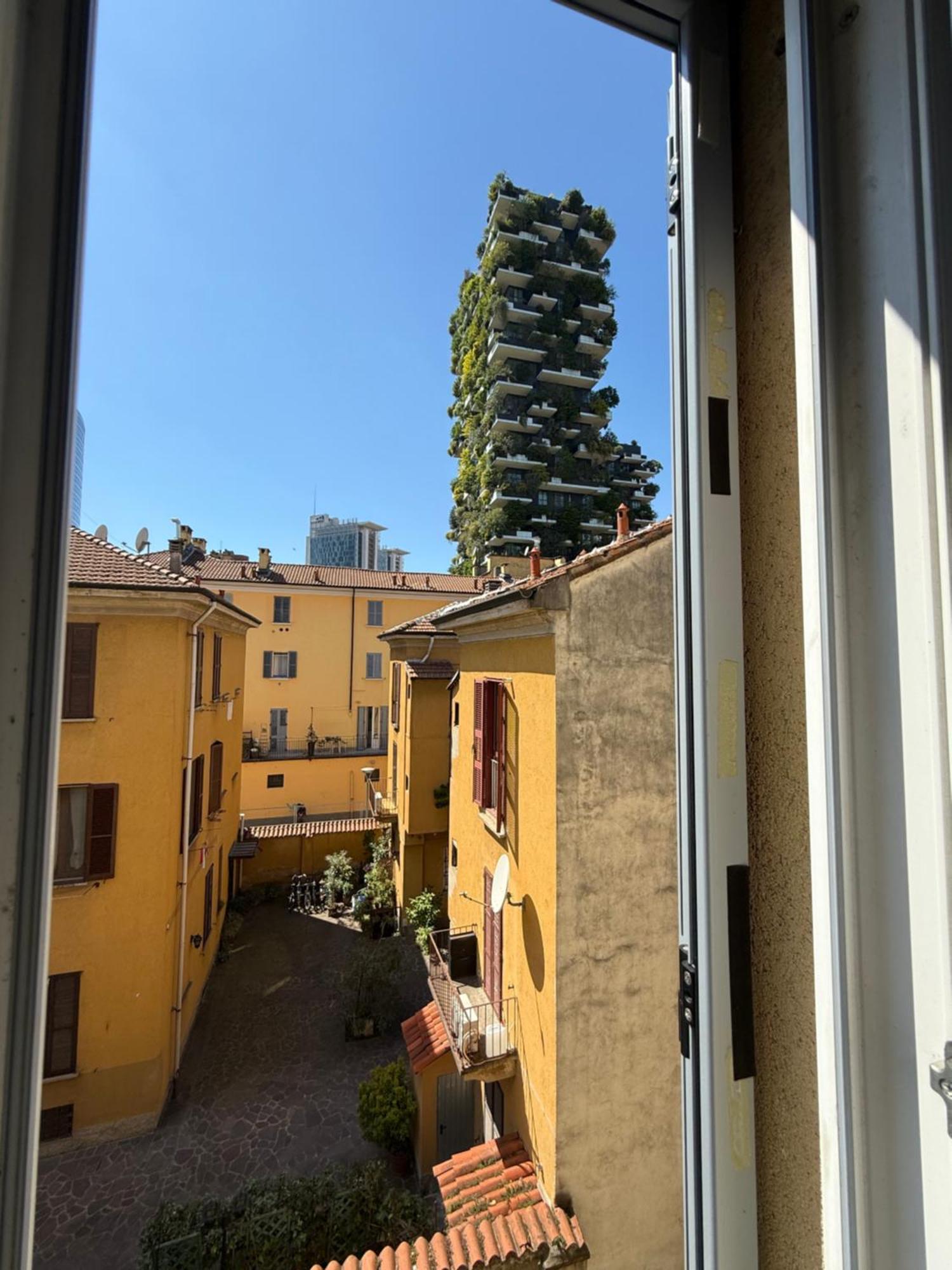 Sottoboscoverticale *