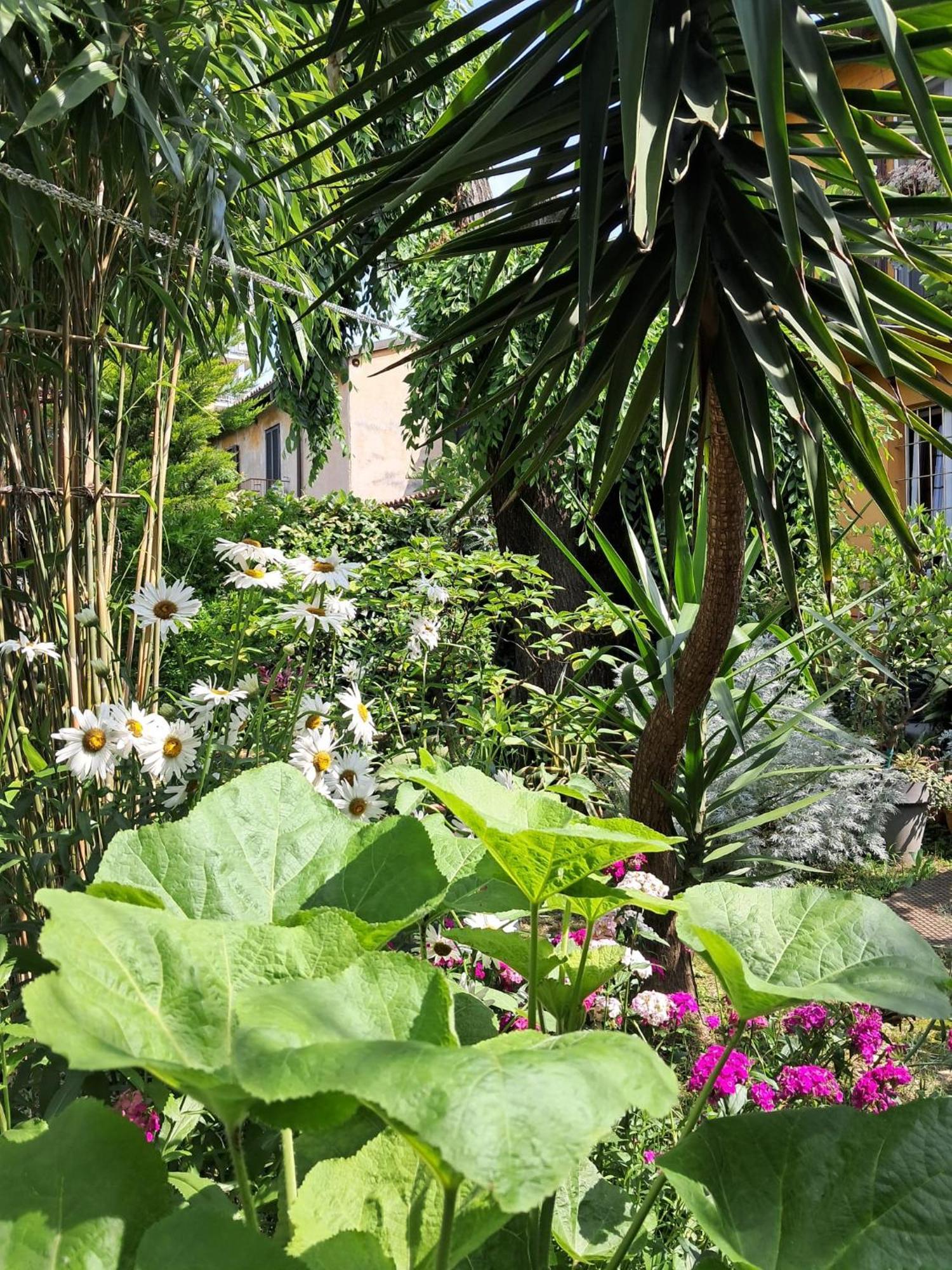 Privatunterkunft With A Garden