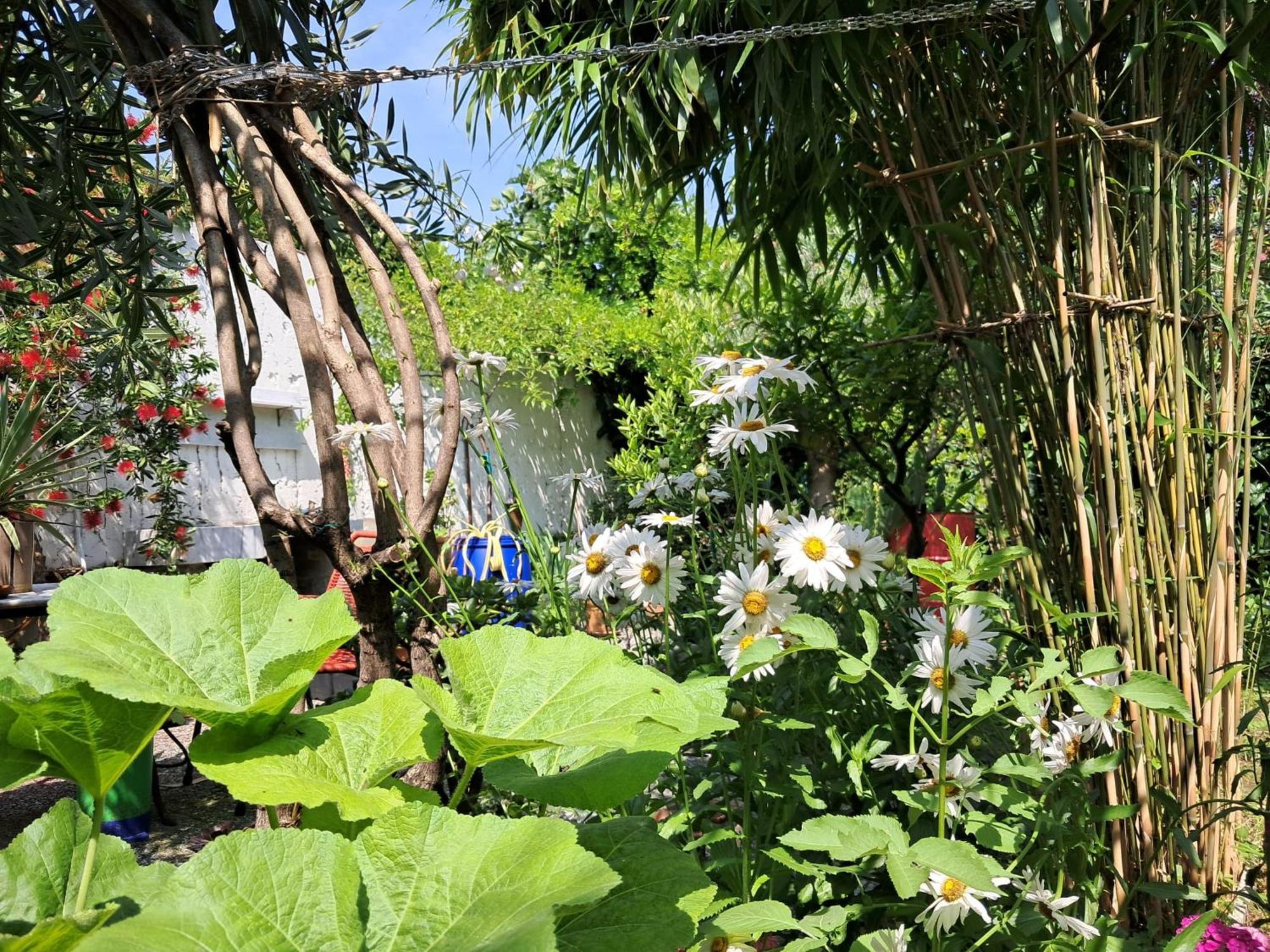 With A Garden Privatunterkunft Mailand