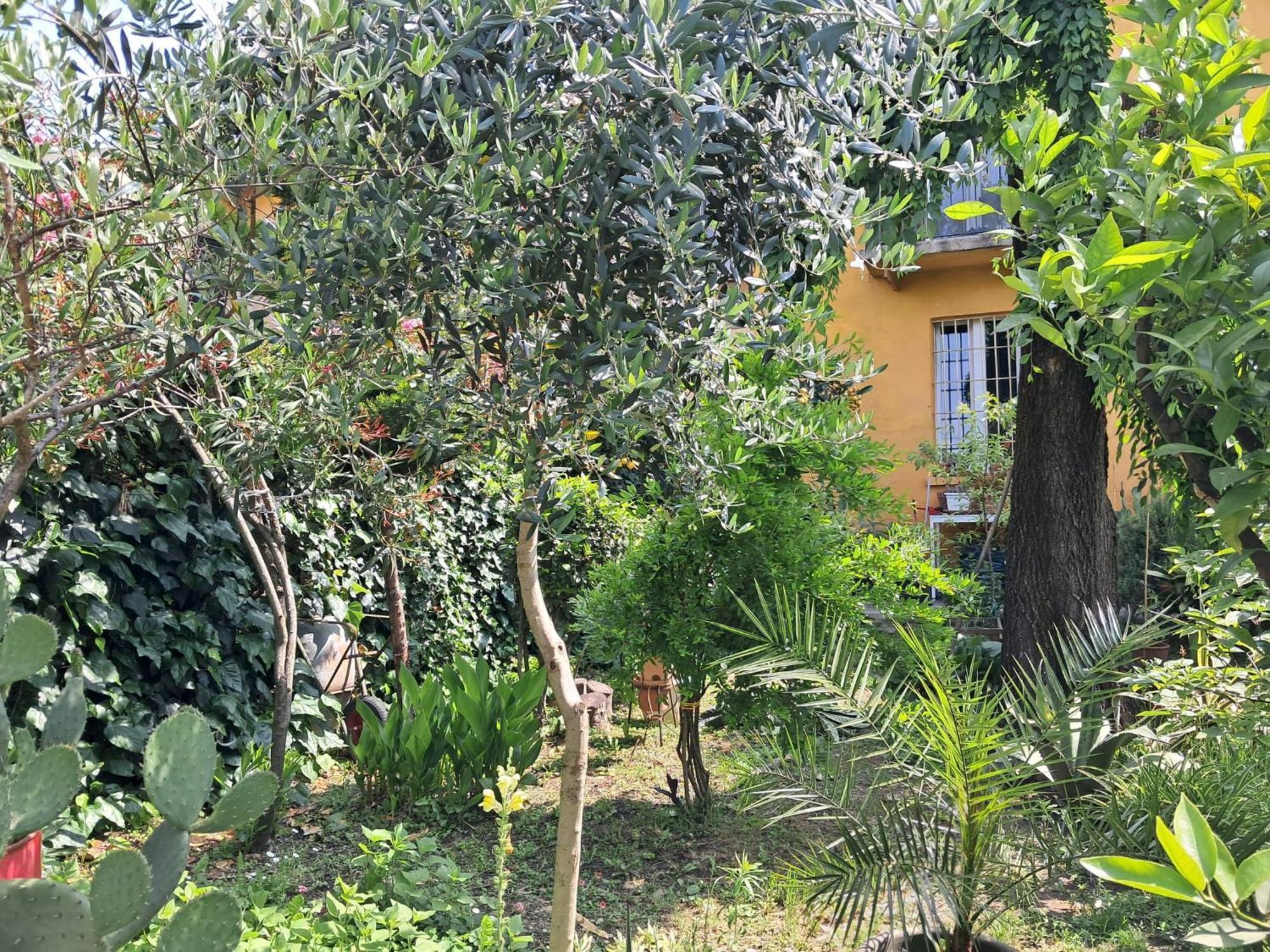 With A Garden * Mailand