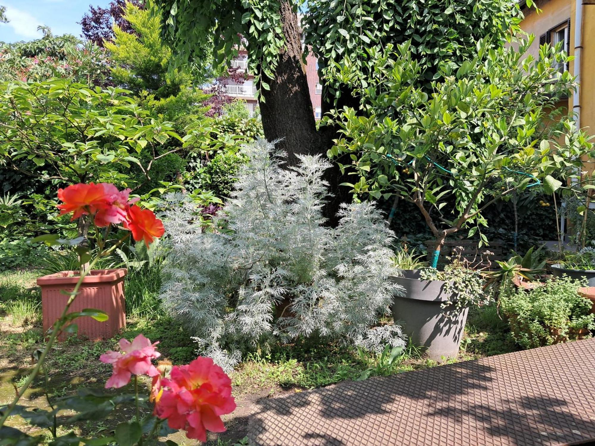With A Garden Privatunterkunft