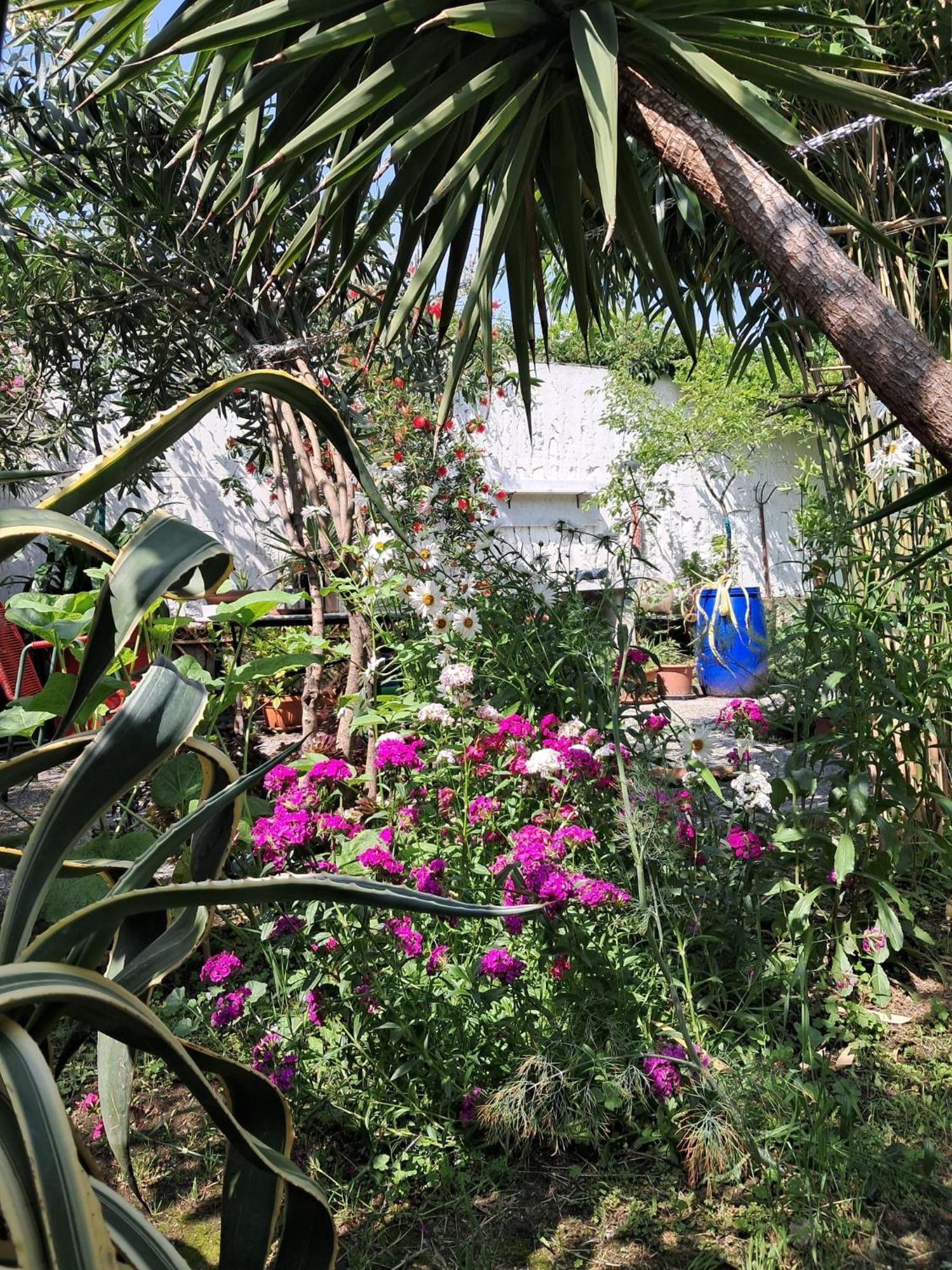 With A Garden Privatunterkunft *