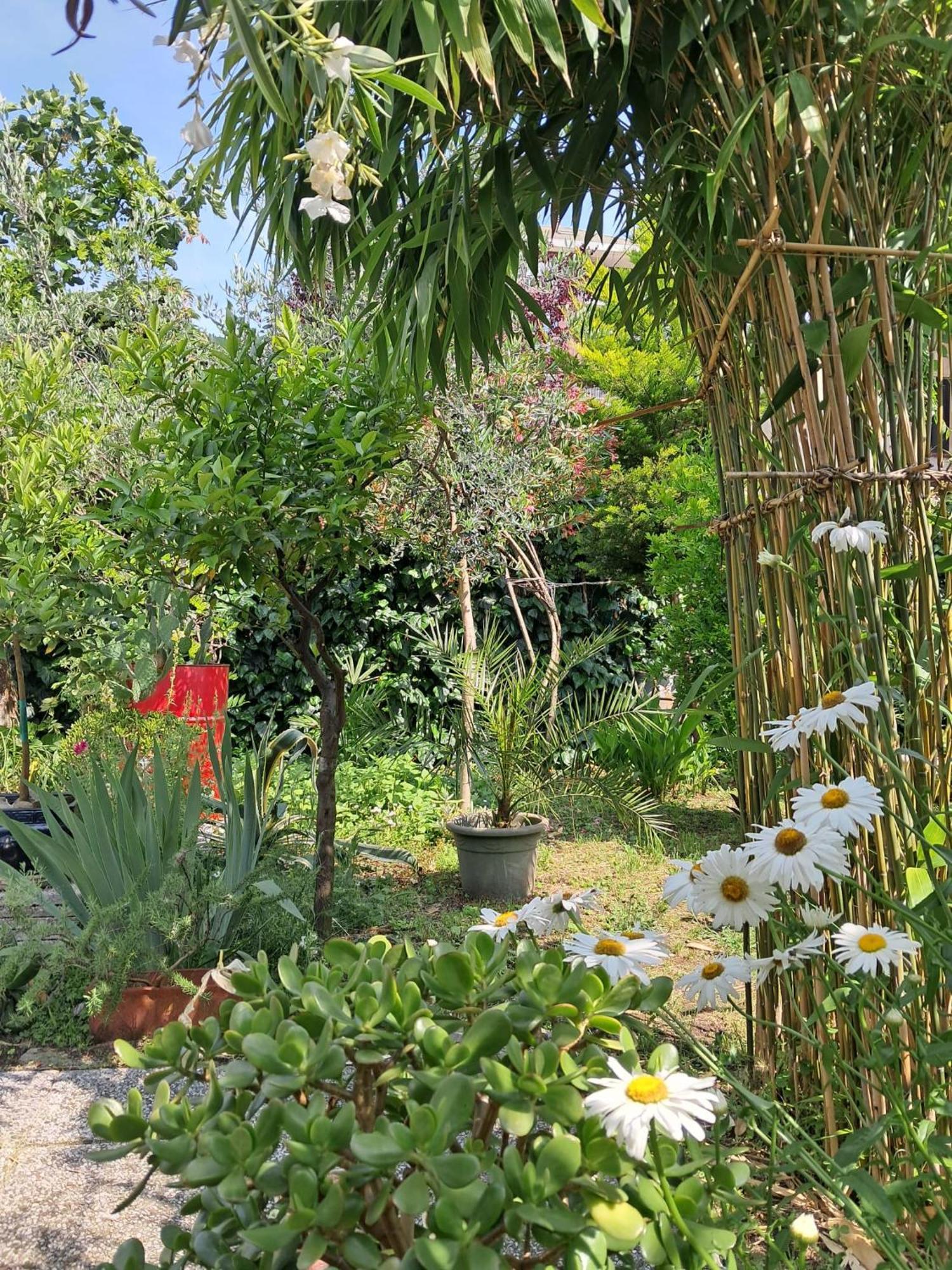 Privatunterkunft With A Garden *