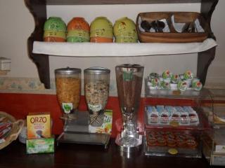 Eco-art De Albertis Milano