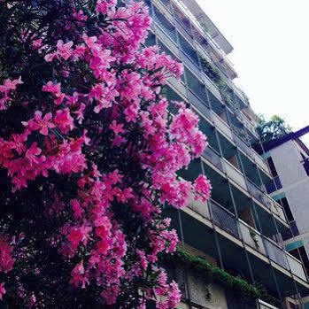 Bed & Breakfast Mundi Milano