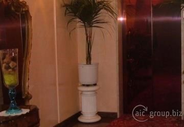 Roma Hotel