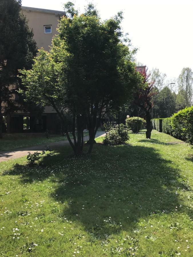 Appartement Bright Flat With Shared Garden *