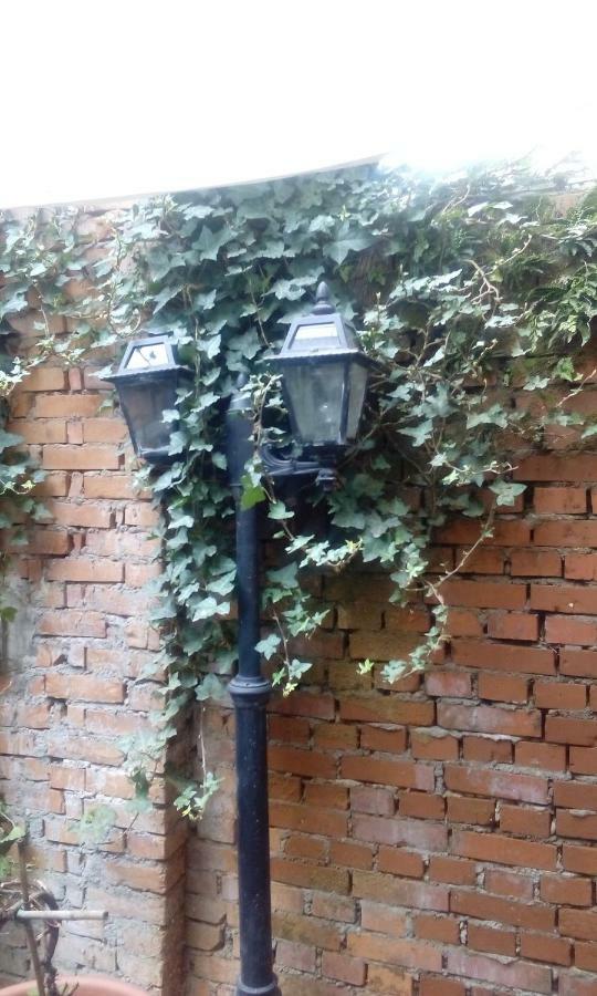 Central With Garden Apartment *
