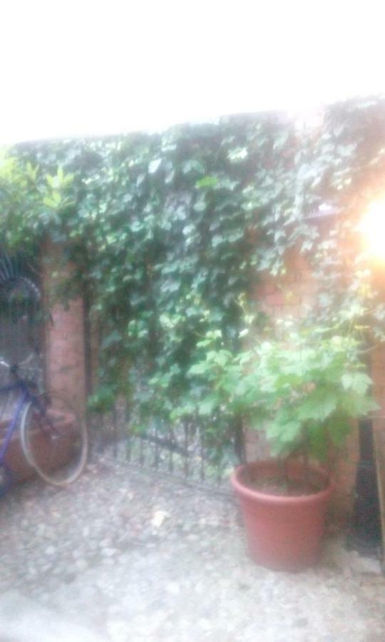 Central With Garden Apartment *