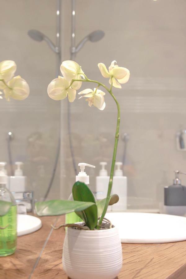 Apartment Design Porta Venezia
