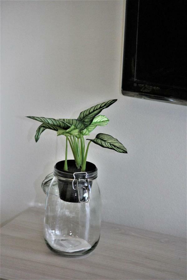 Lejlighed Downtown Eco Chic *