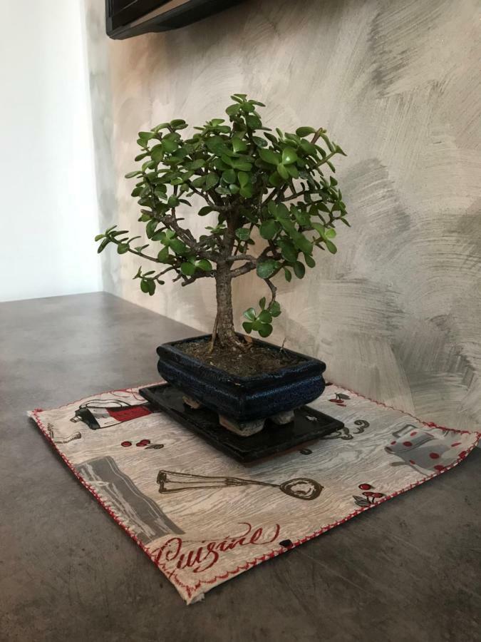Appartement Accogliente Bilocale *