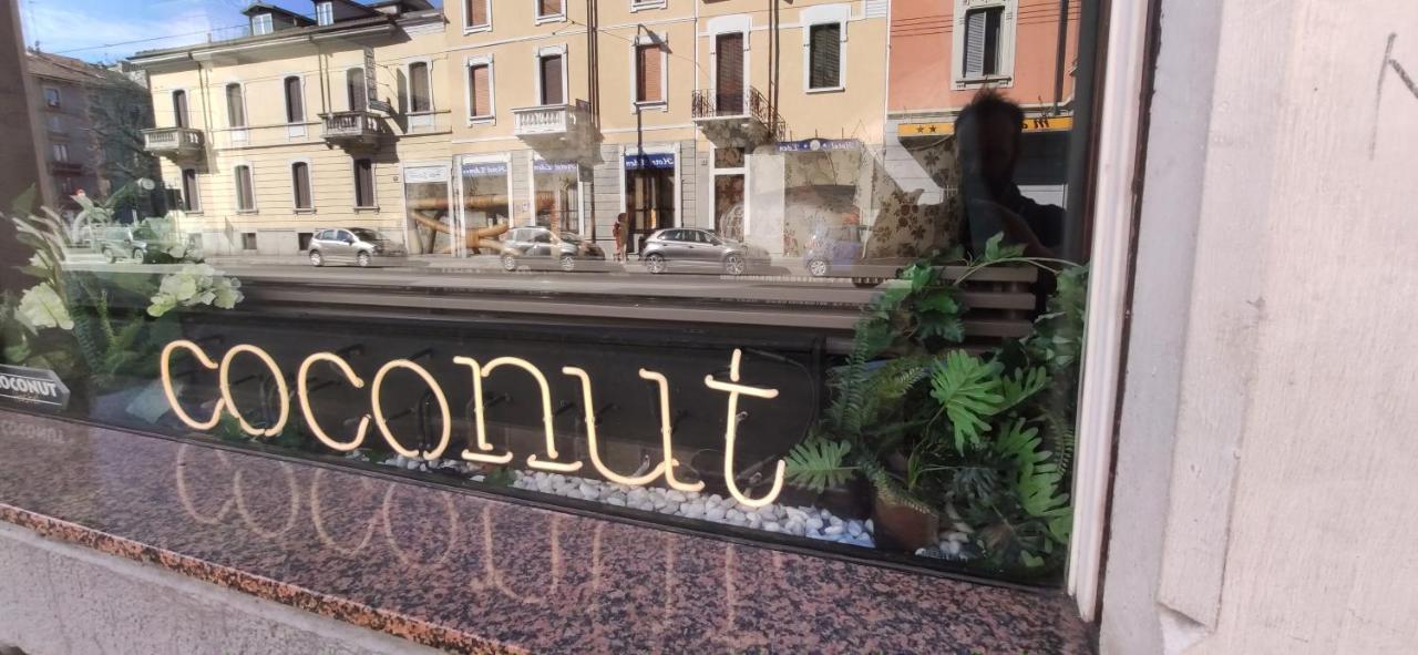 Grand Coconut *