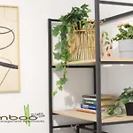 Bamboo Milano Vallarsa Apartment