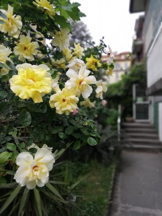 Affittacamere Villamelchiorre 1