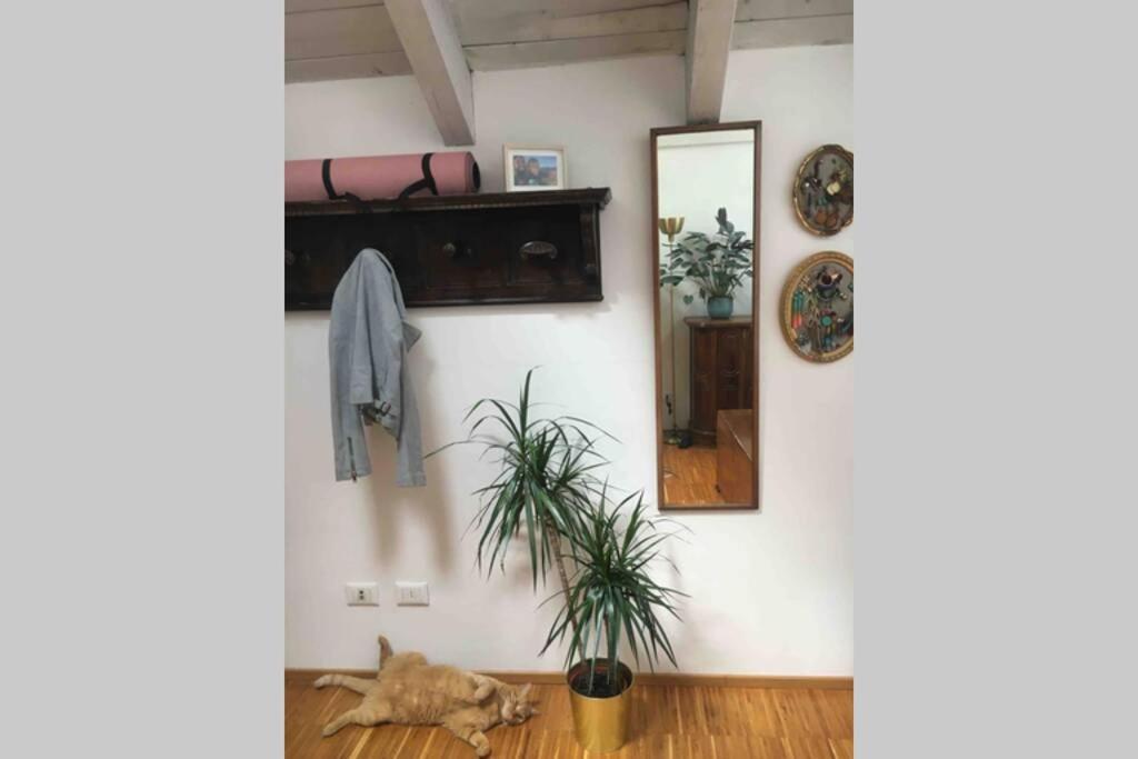 Sunny Loft Warehouse Conversion & Spacious Terrace Casa vacanze *
