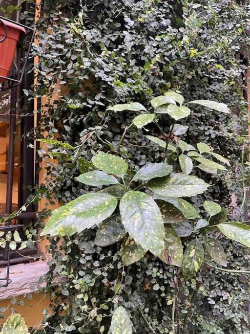 Loft Di Design Nel Cuore Di Apartment