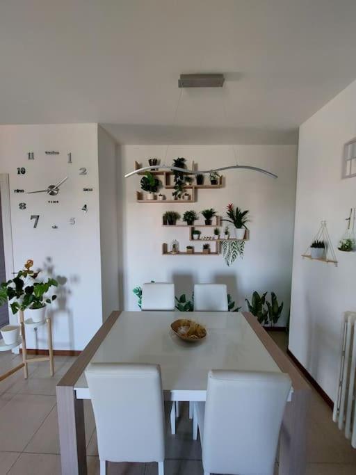Color House - Bellissimo Panoramico In Zona Niguarda Apartment Milan