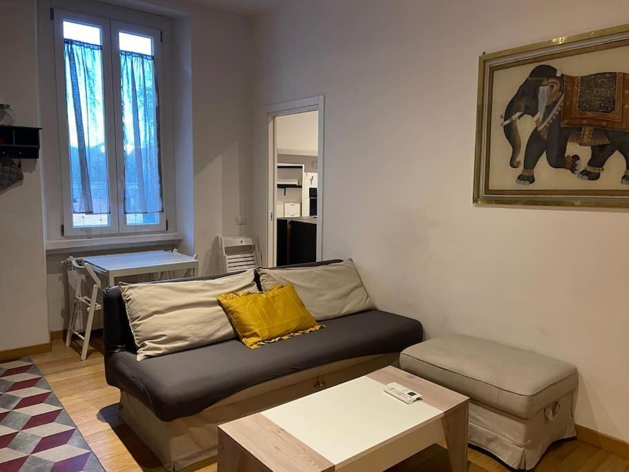 Apartment Ampola “flamingo”