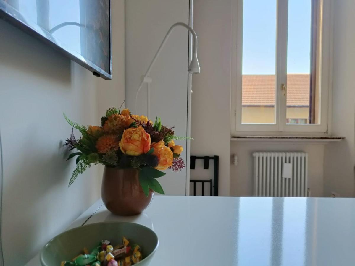 A Look From The Window *