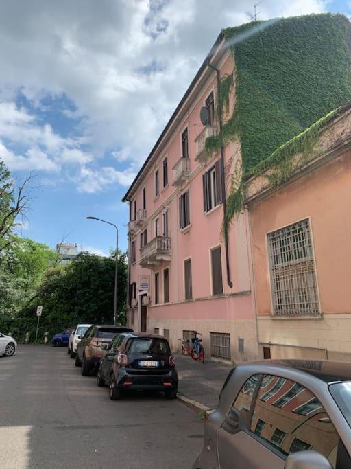 Ampola “flamingo” Apartment