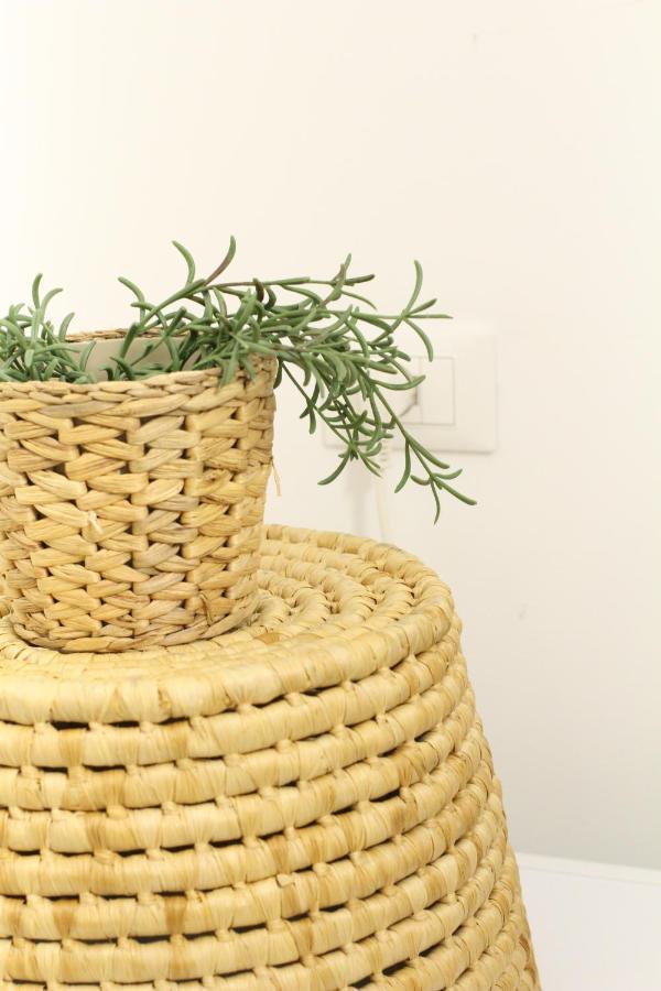 Bamboo Pastorelli Milano