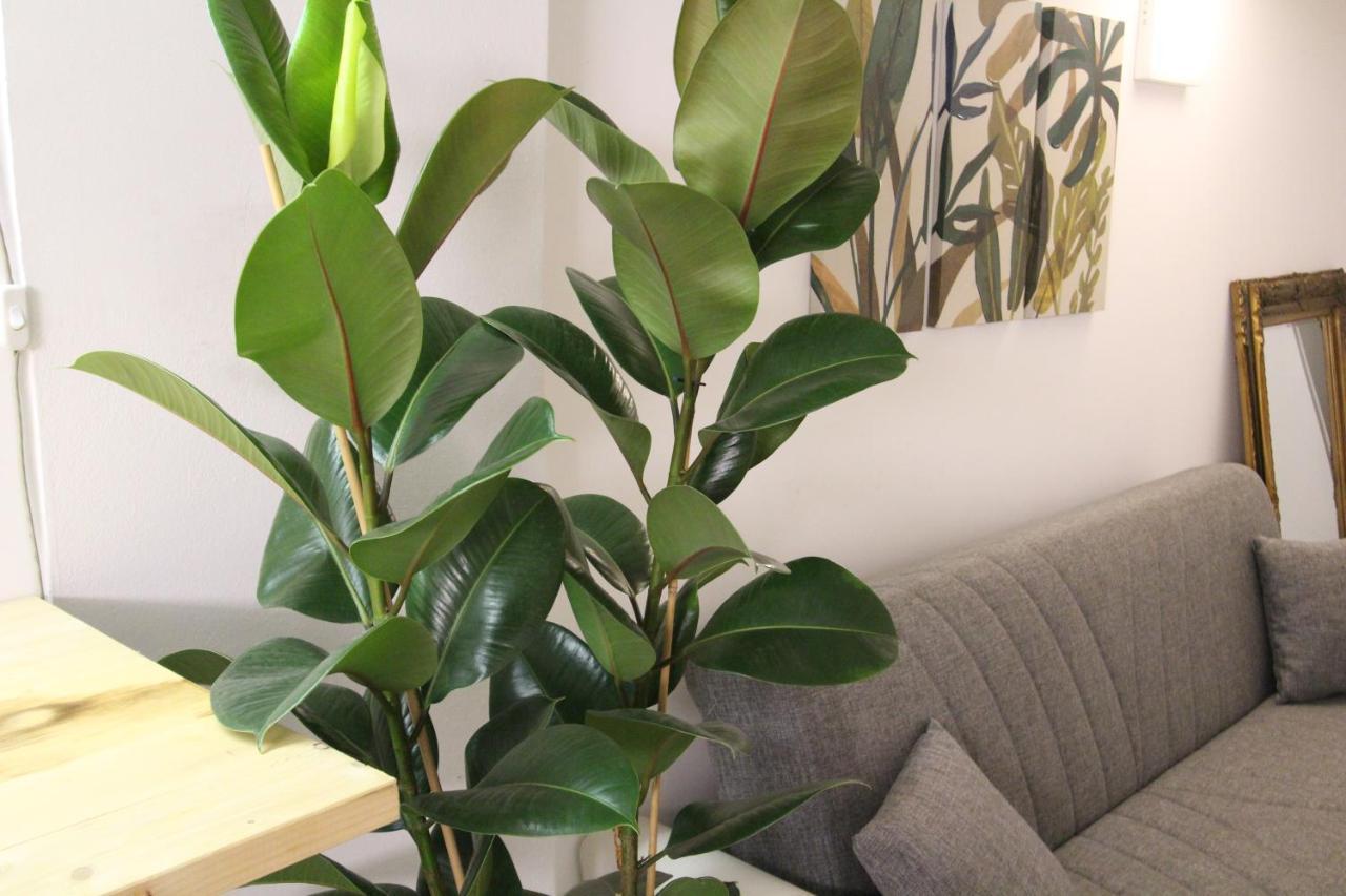 Bamboo Pastorelli Leilighet *