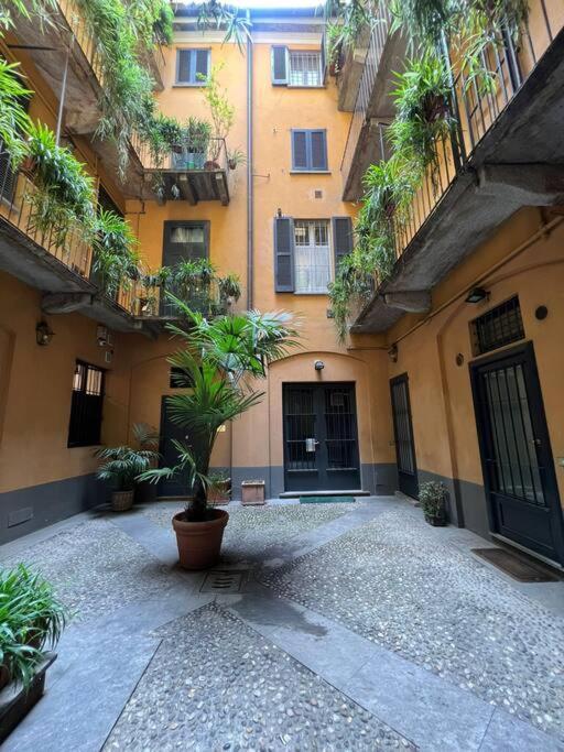 Mg Camelia * Milano