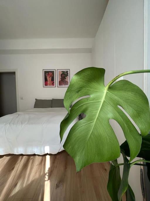 In-experience City Appartement *