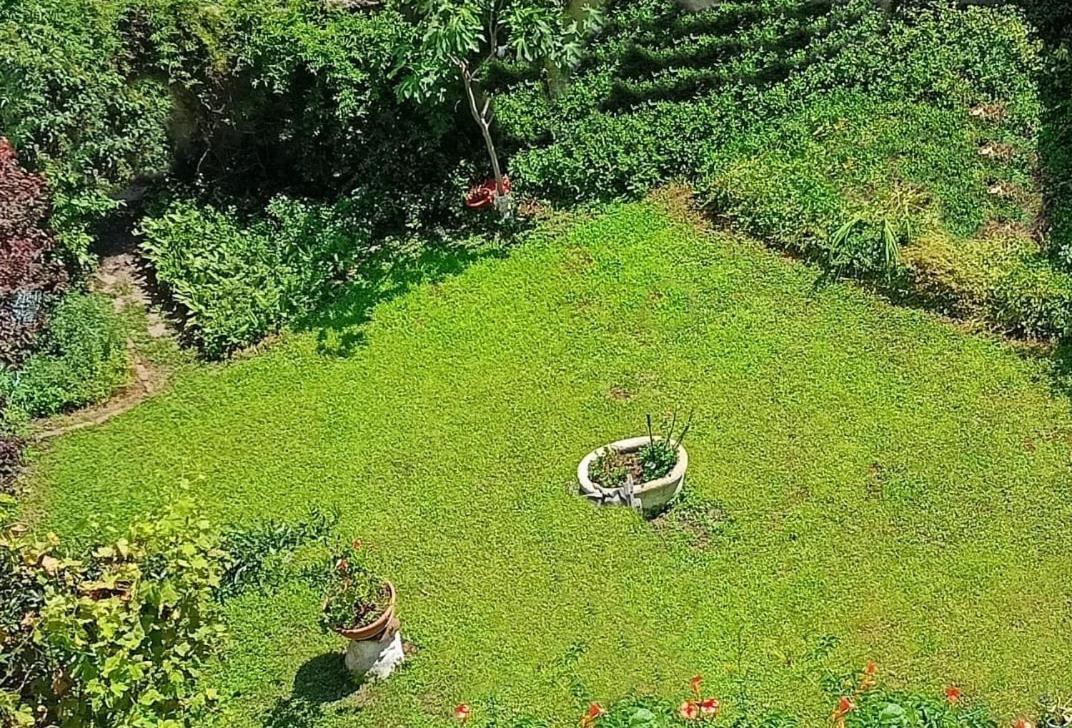 Bed & Breakfast Vialetto V. Pastro 10 *