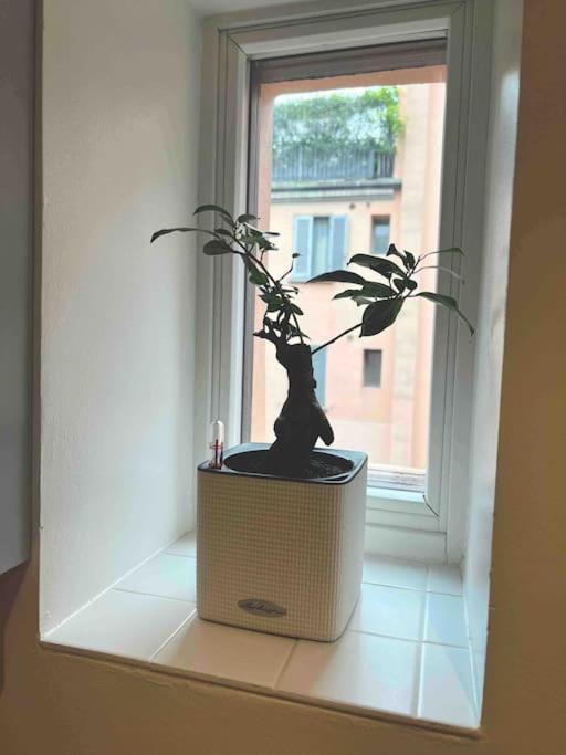 Nel Cuore Di Porta Venezia *