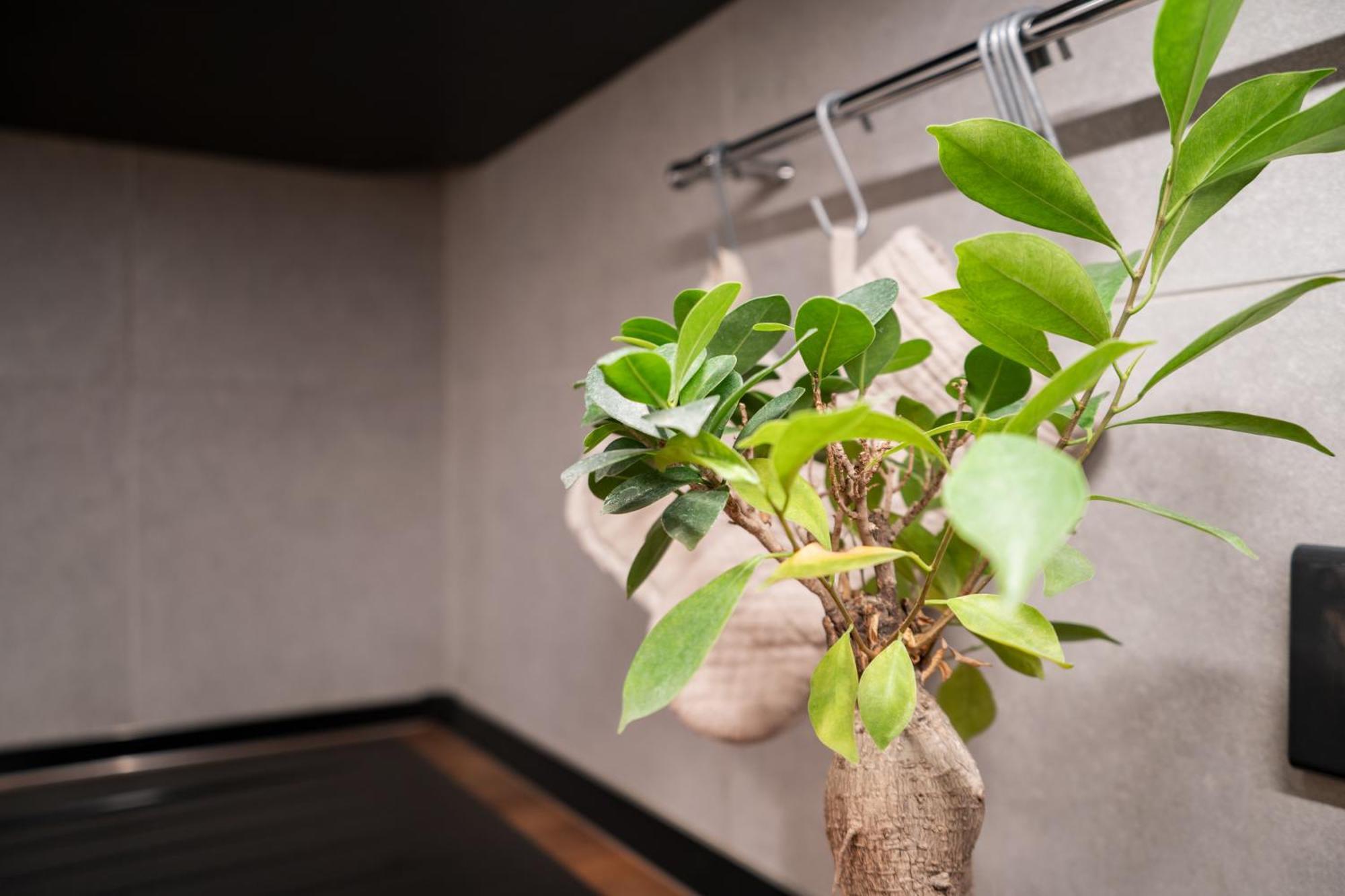 Brera-centro, Stylish And New Appartement