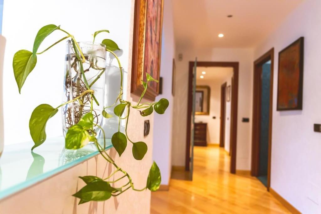 Ampia Oasi A Porta Venezia: Casa In Centro * Milano