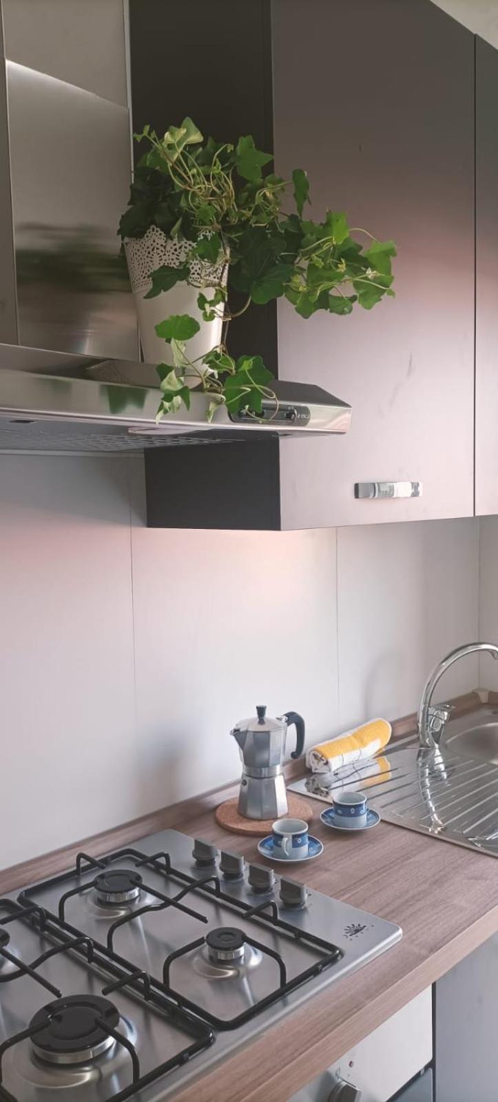 Carlo Apartment *