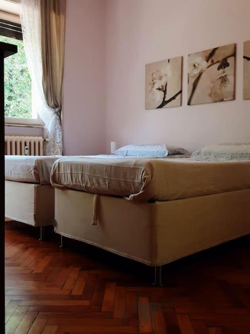 Gigia's Home, On The Of The Trees Appartamento