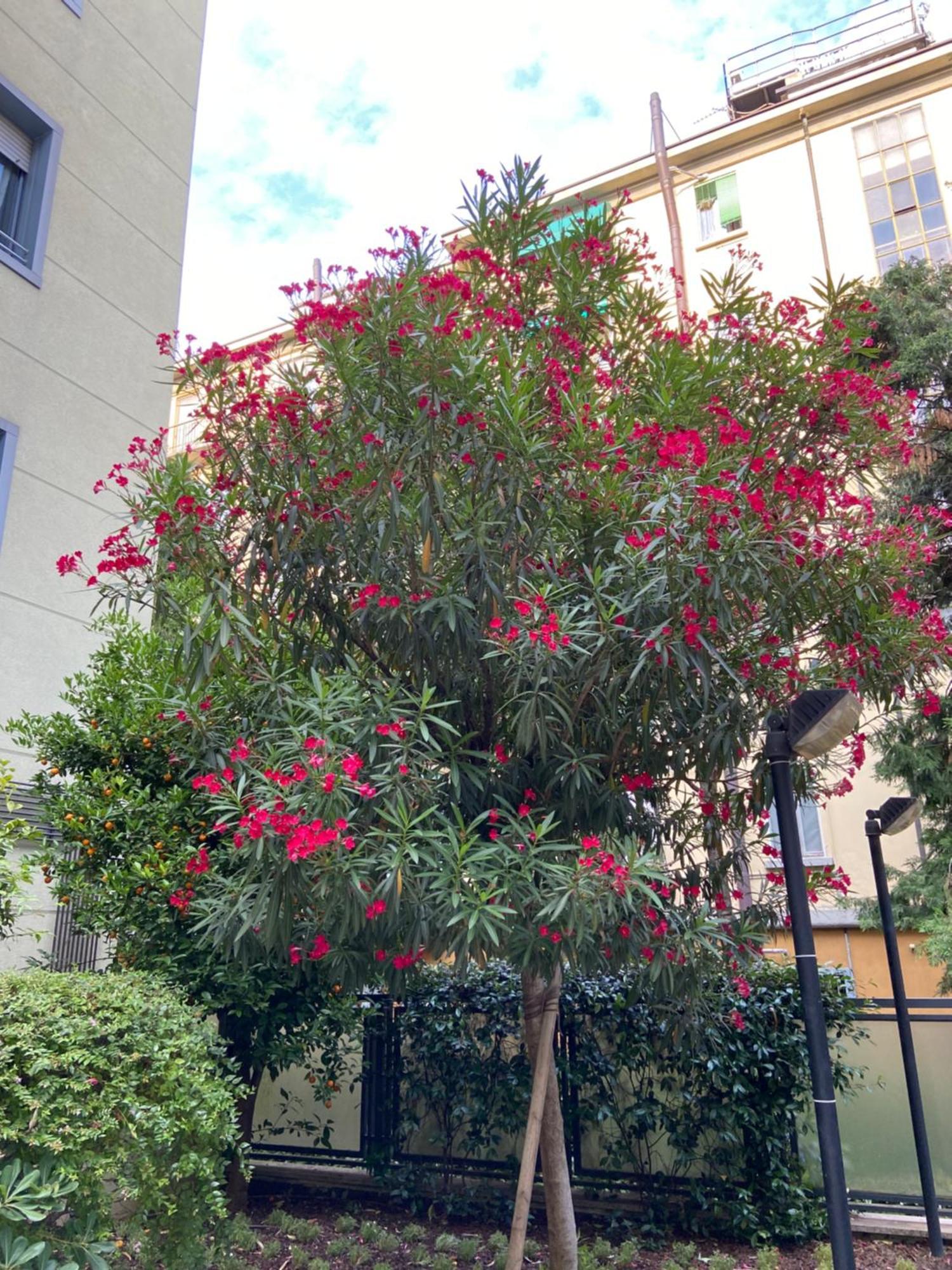 Appartamento Residenza Zara *