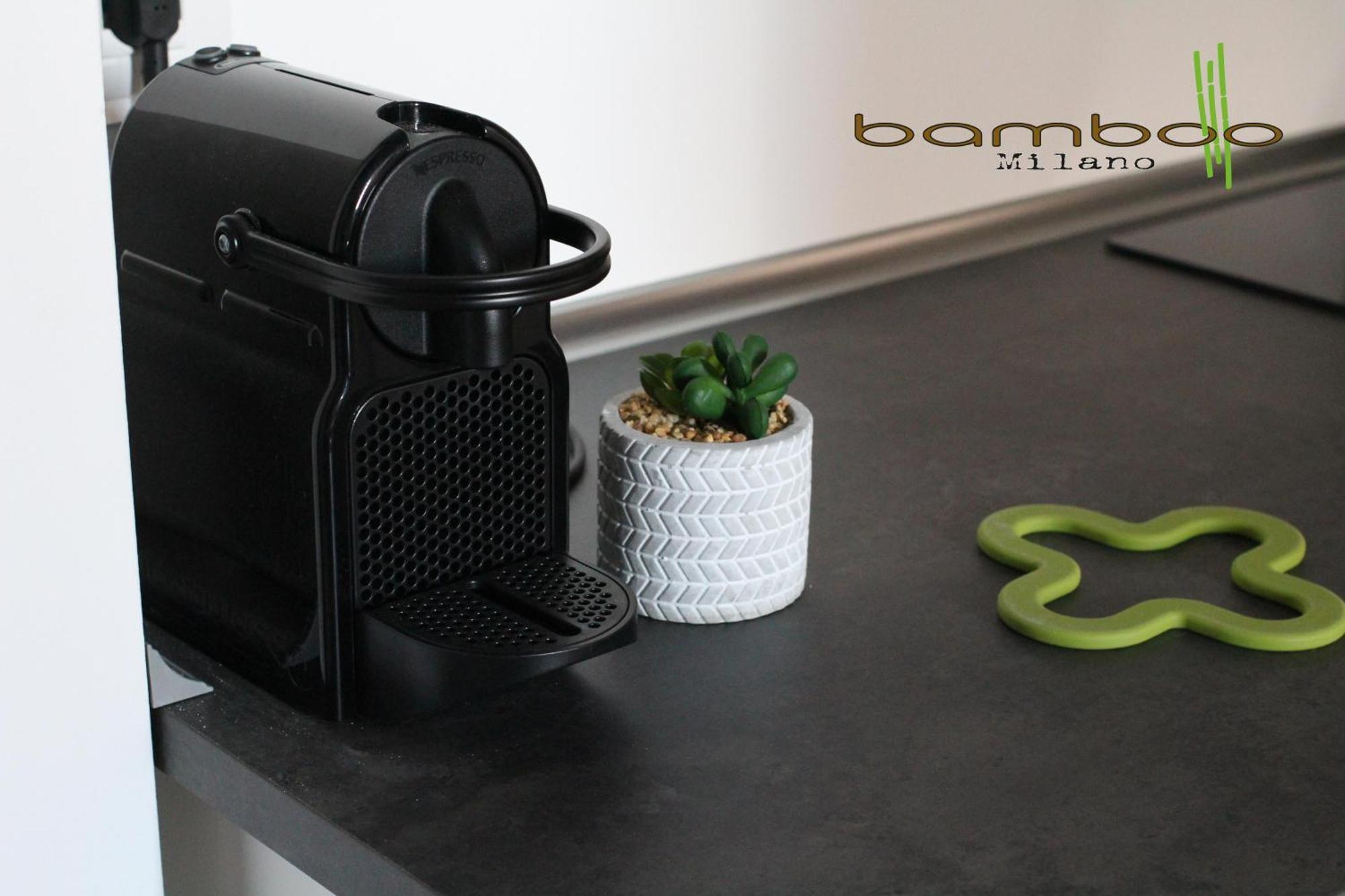 Bamboo Isonzo Milano