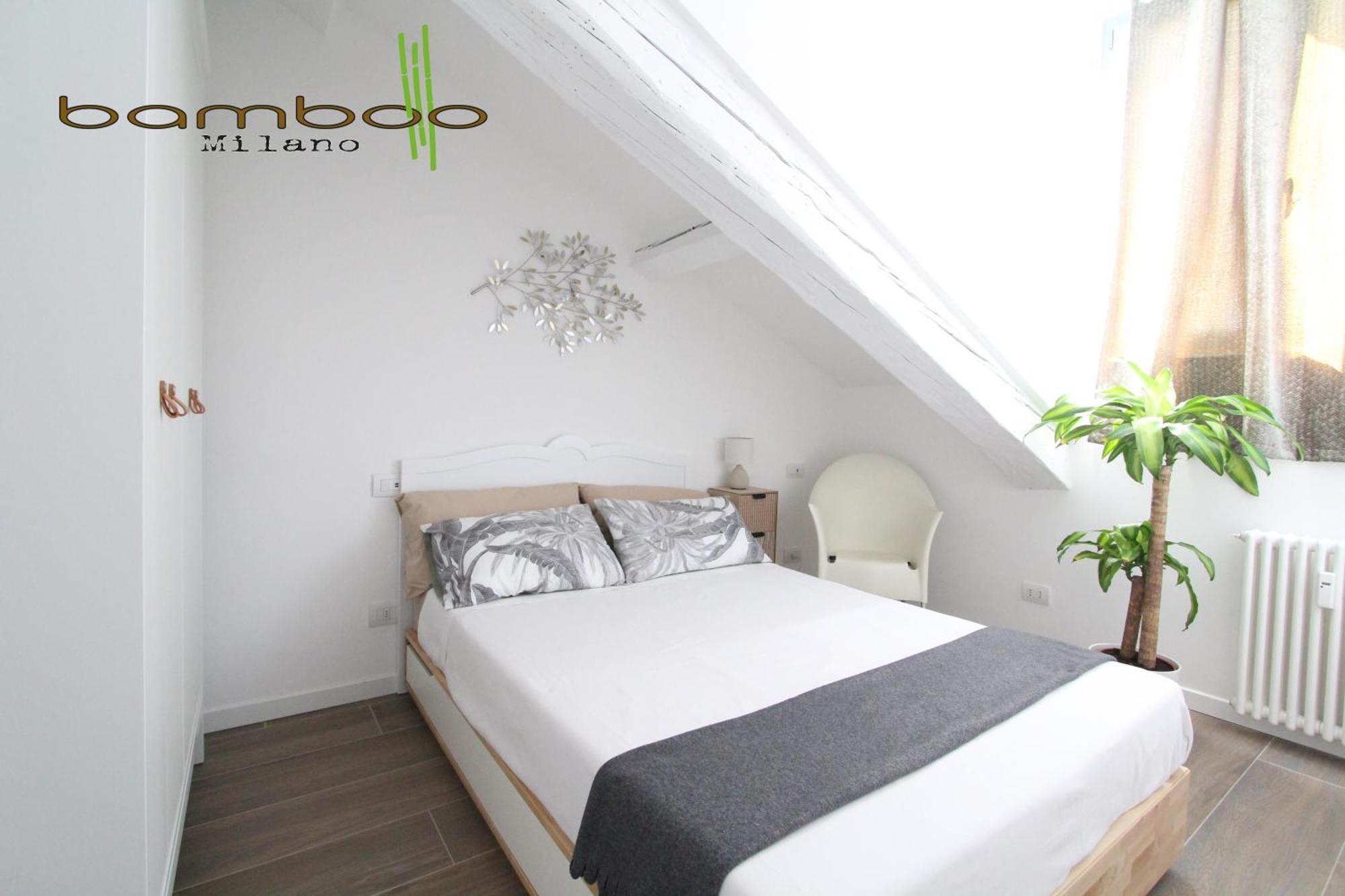 Bamboo Isonzo Milano