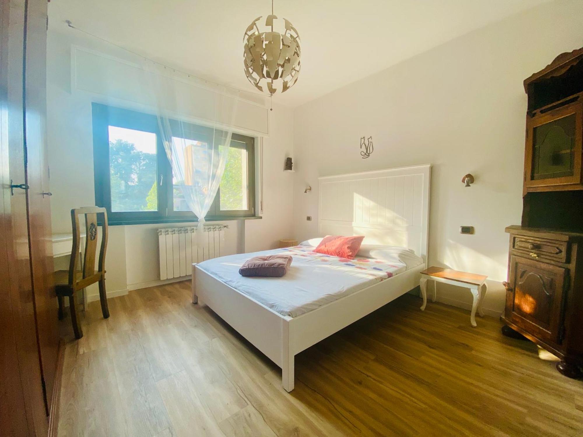 The Luxory Cat Bed & Breakfast *