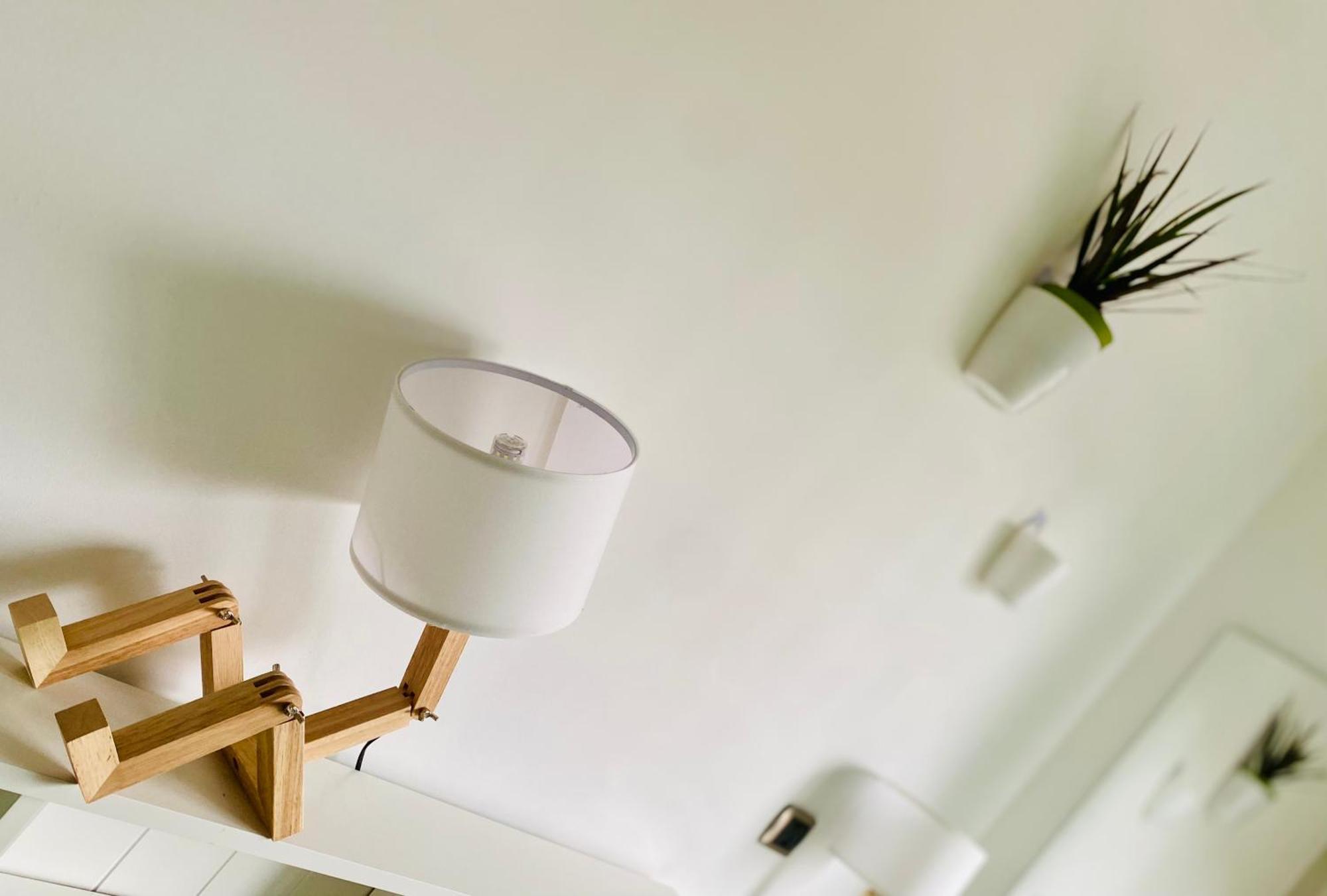 The Luxory Cat Bed & Breakfast
