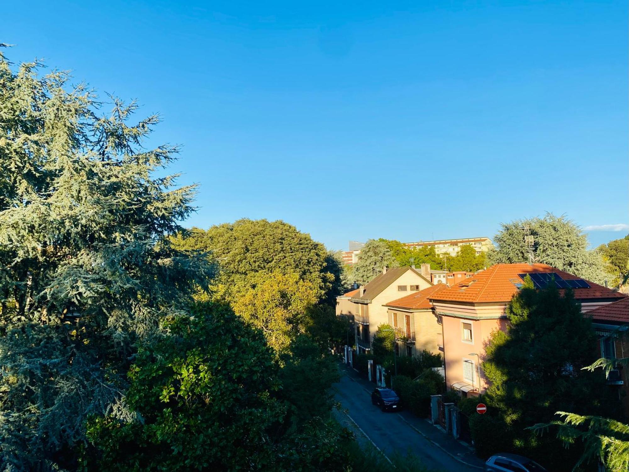 The Luxory Cat Bed & Breakfast Milaan
