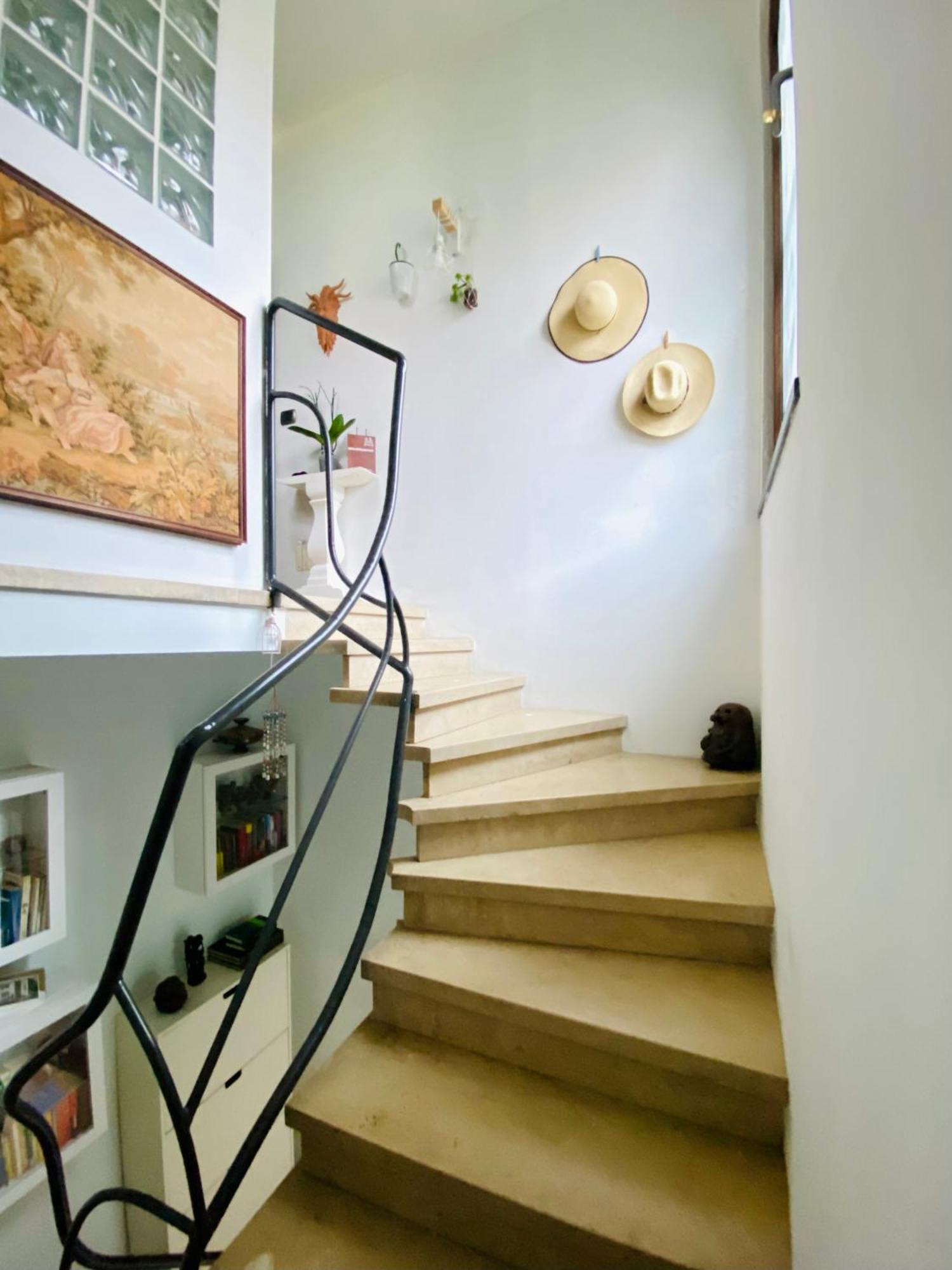 The Luxory Cat Bed & Breakfast