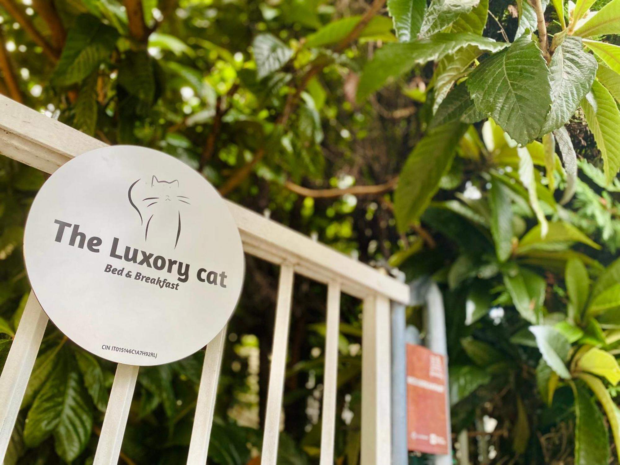 The Luxory Cat * Milano