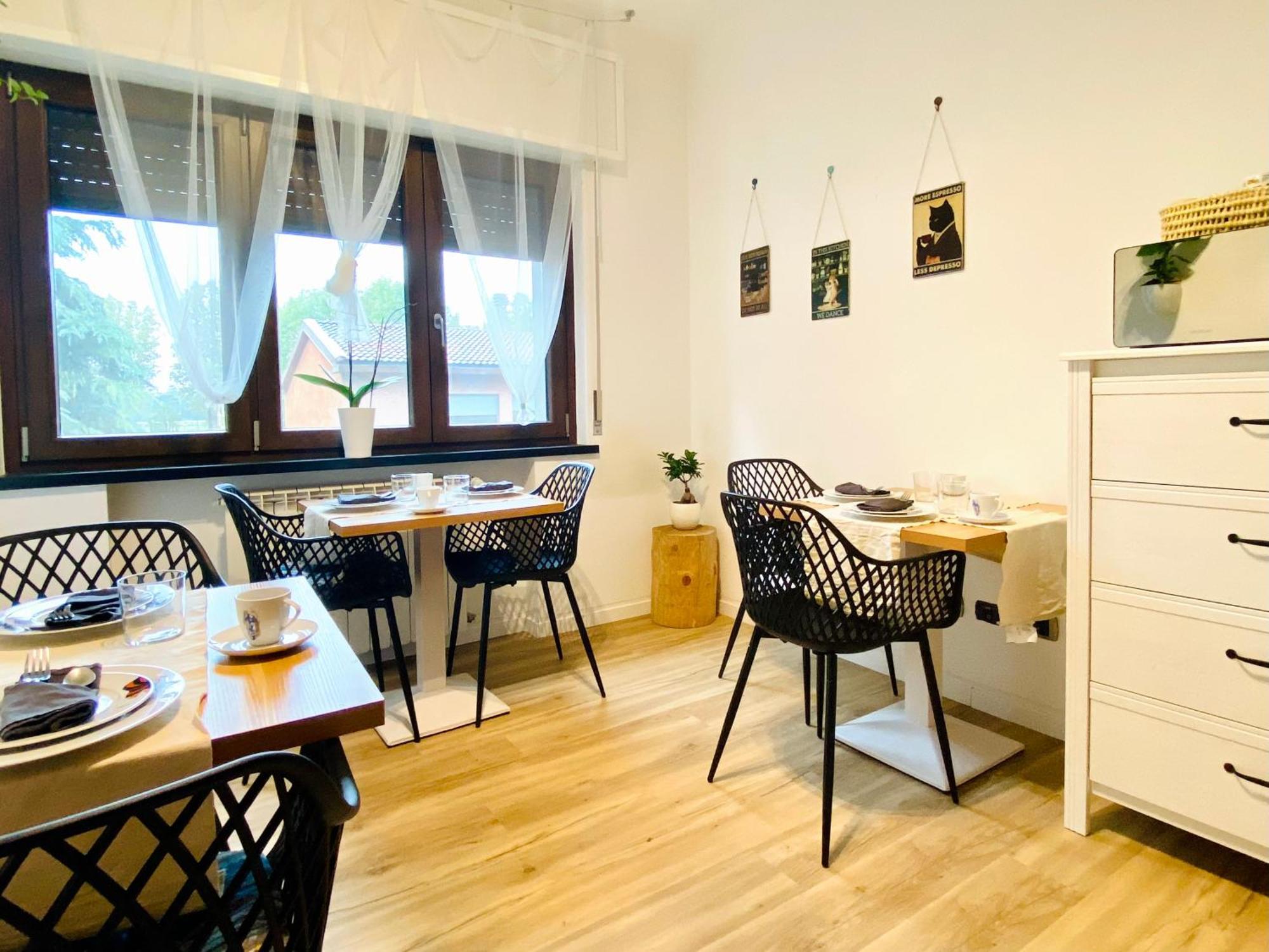 The Luxory Cat Milano