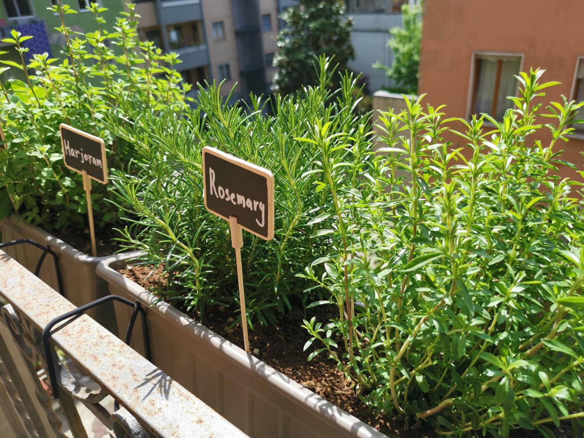 Spacious 50 Meters From The Metro Leilighet *