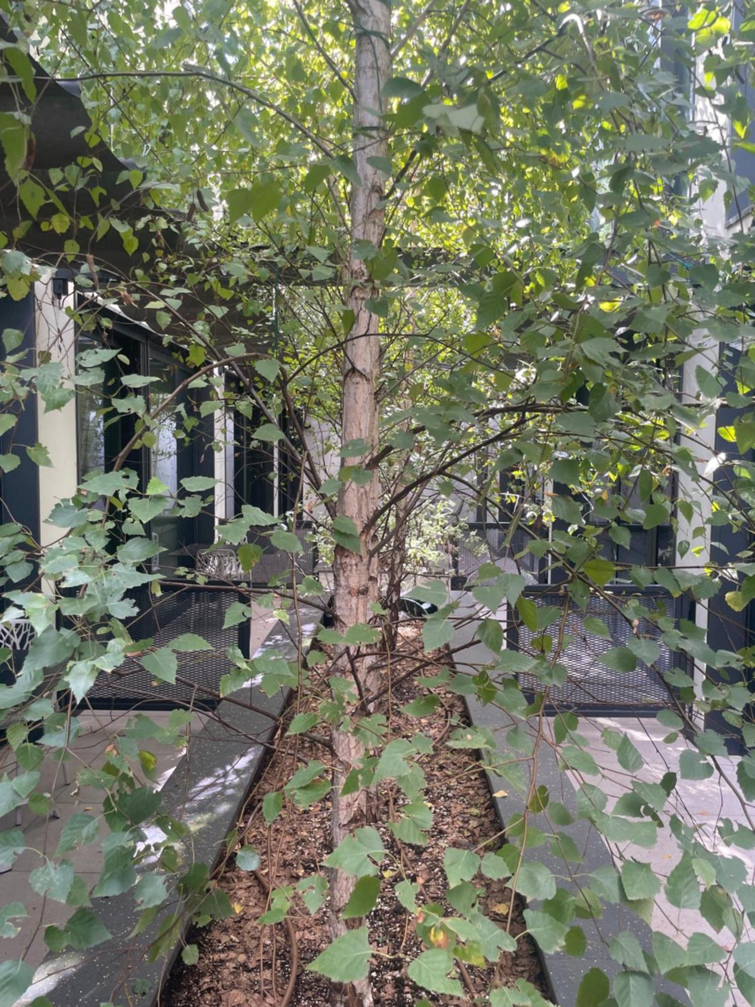Versoverde Alzaia Naviglio Grande Leilighetshoteller Milano